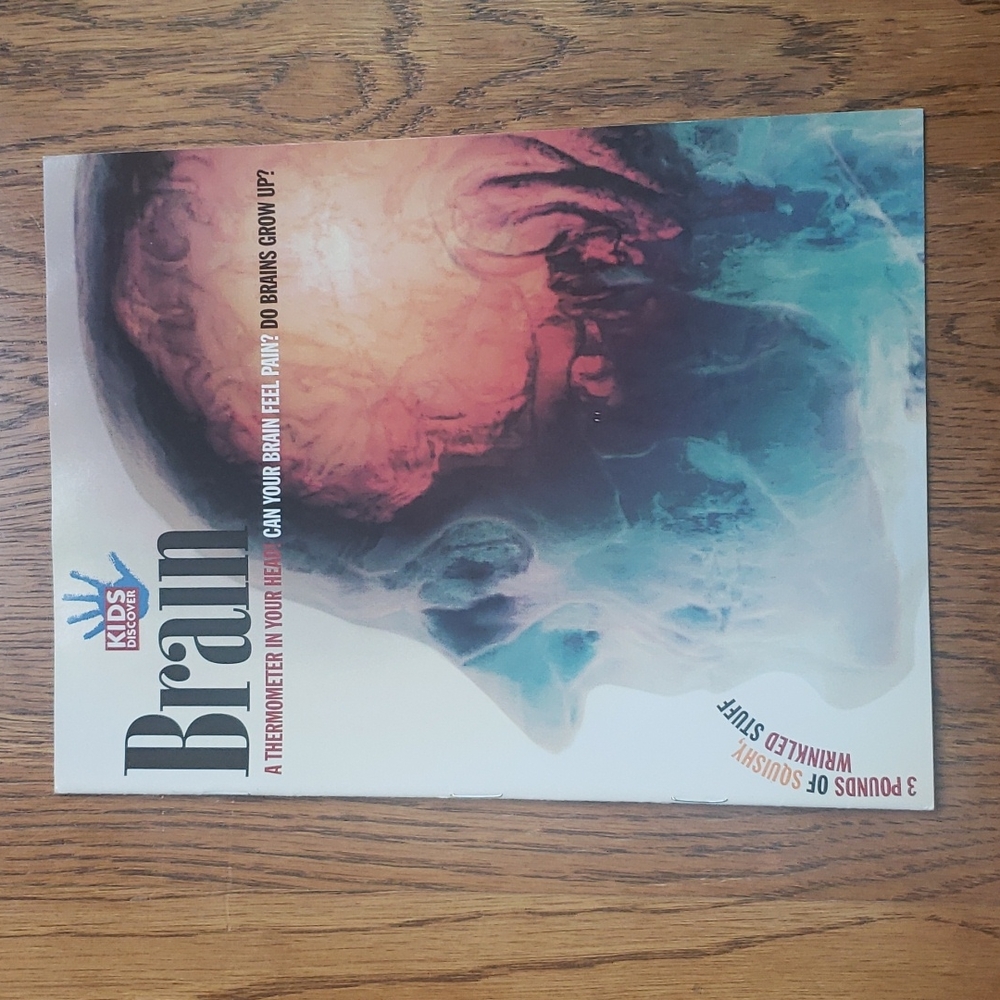 Vintage 90s Kids Discover Magazine Brain Volume 6 Issue 2